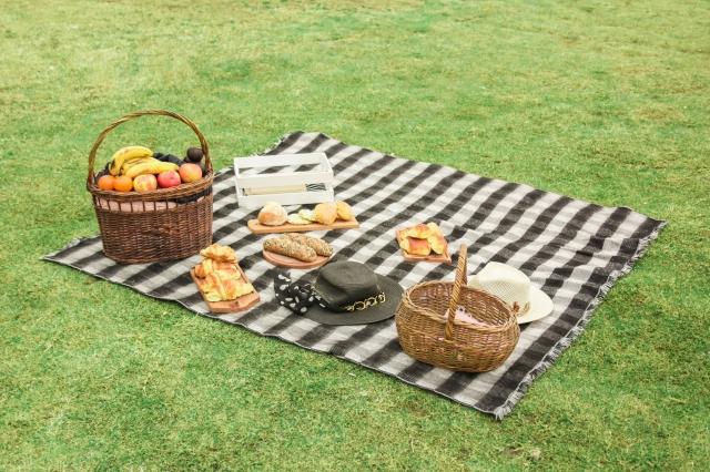Activities on a Picnic